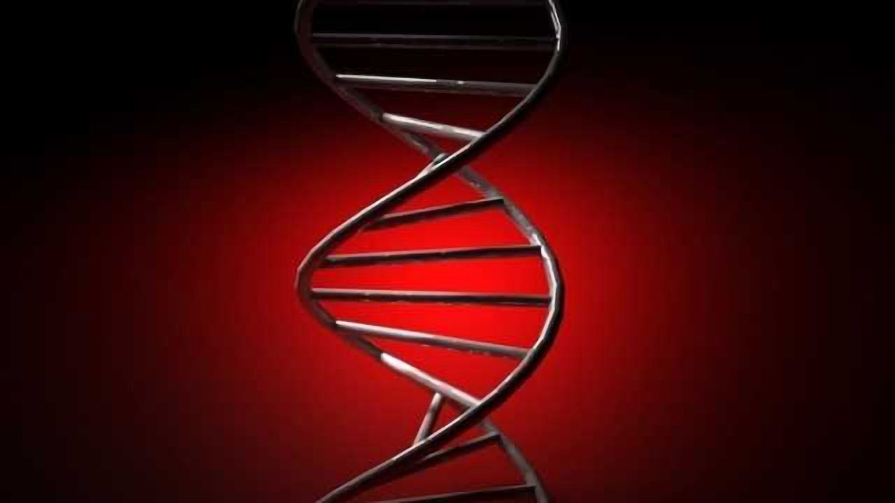 Genetic defect underlying a rare disease identified