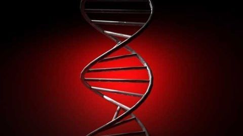 Genetic defect underlying a rare disease identified