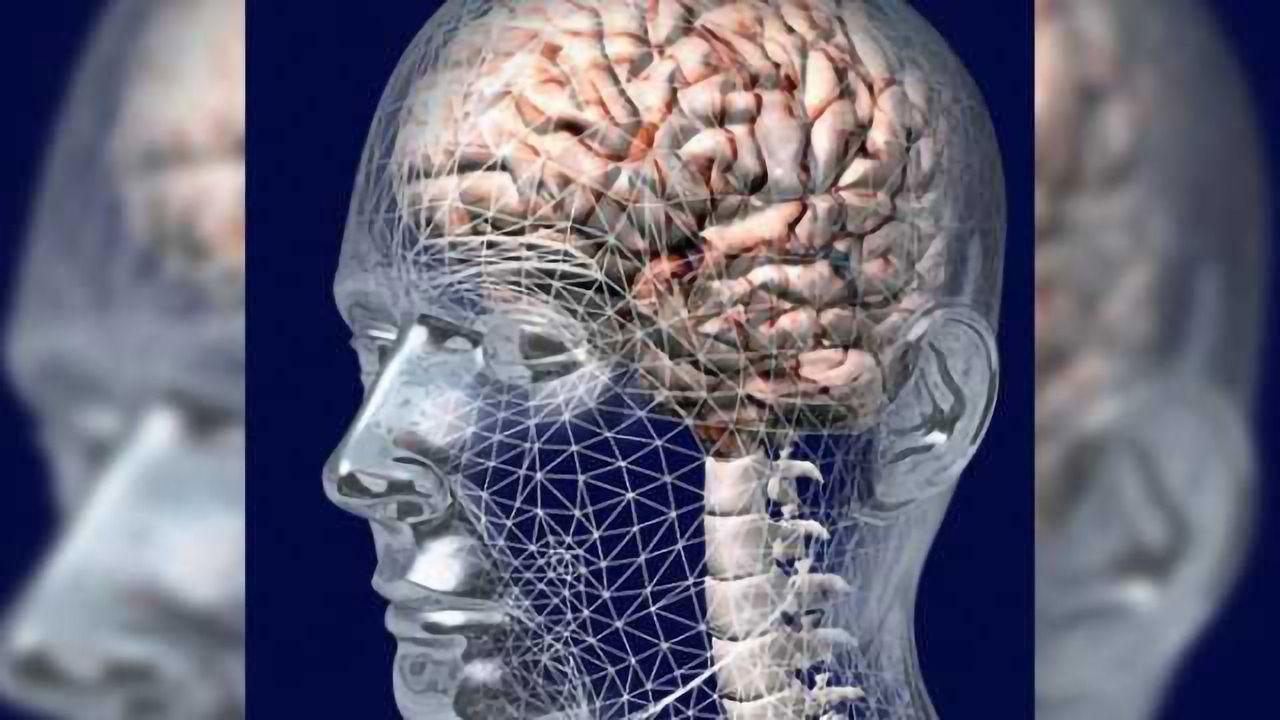 Brain scans may help predict recovery from coma