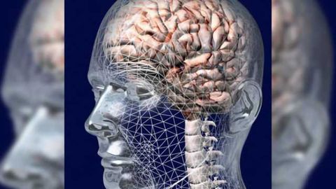 Brain scans may help predict recovery from coma