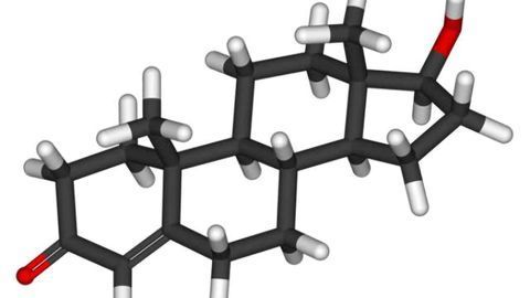 Testosterone at the heart of sex differences in Parkinson’s disease risk, study suggests