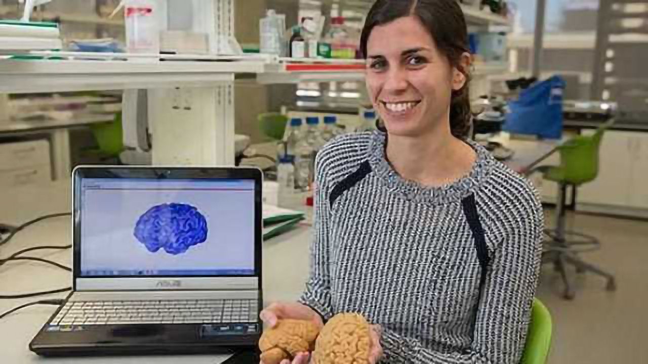 Nature and nurture: Human brains evolved to be more responsive to environmental influences
