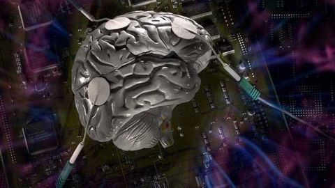 Modulating brain’s stress circuitry might prevent Alzheimer’s disease