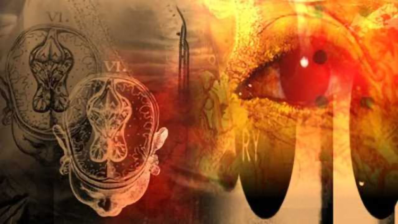 First insights into changes to developing brain caused by gene associated with autism