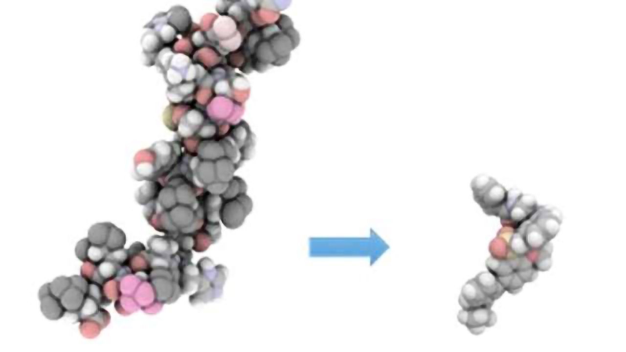 Combating sleep disorders: Scientists develop novel compound that regulates wakefulness
