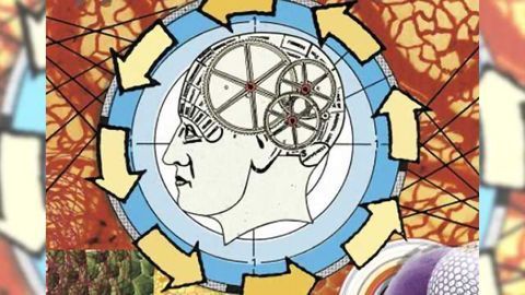Brains with autism adapt differently during implicit learning