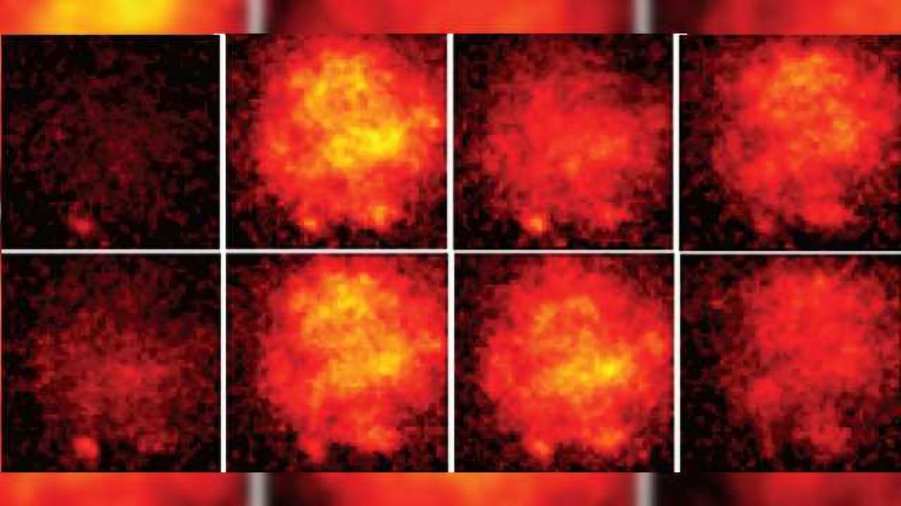 An eagle-eye, real-time view of neural activity