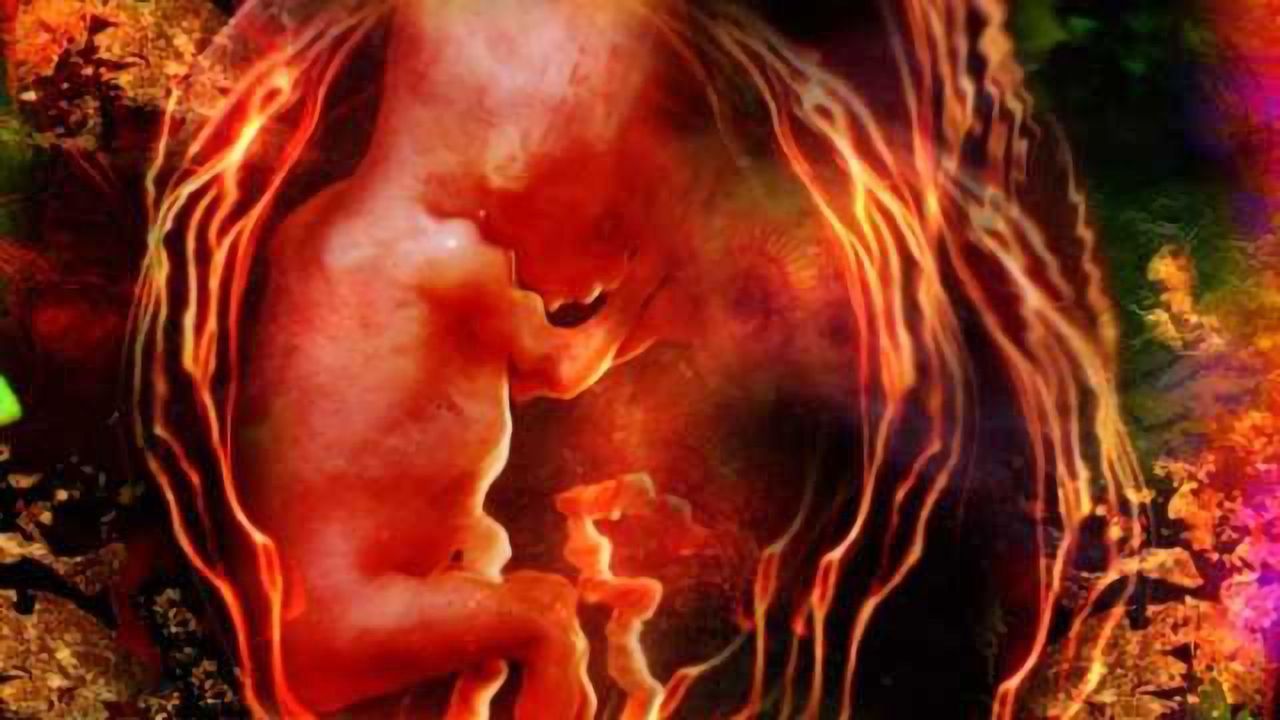 Vision test gives insight into the effect of prenatal exposure to recreational drugs