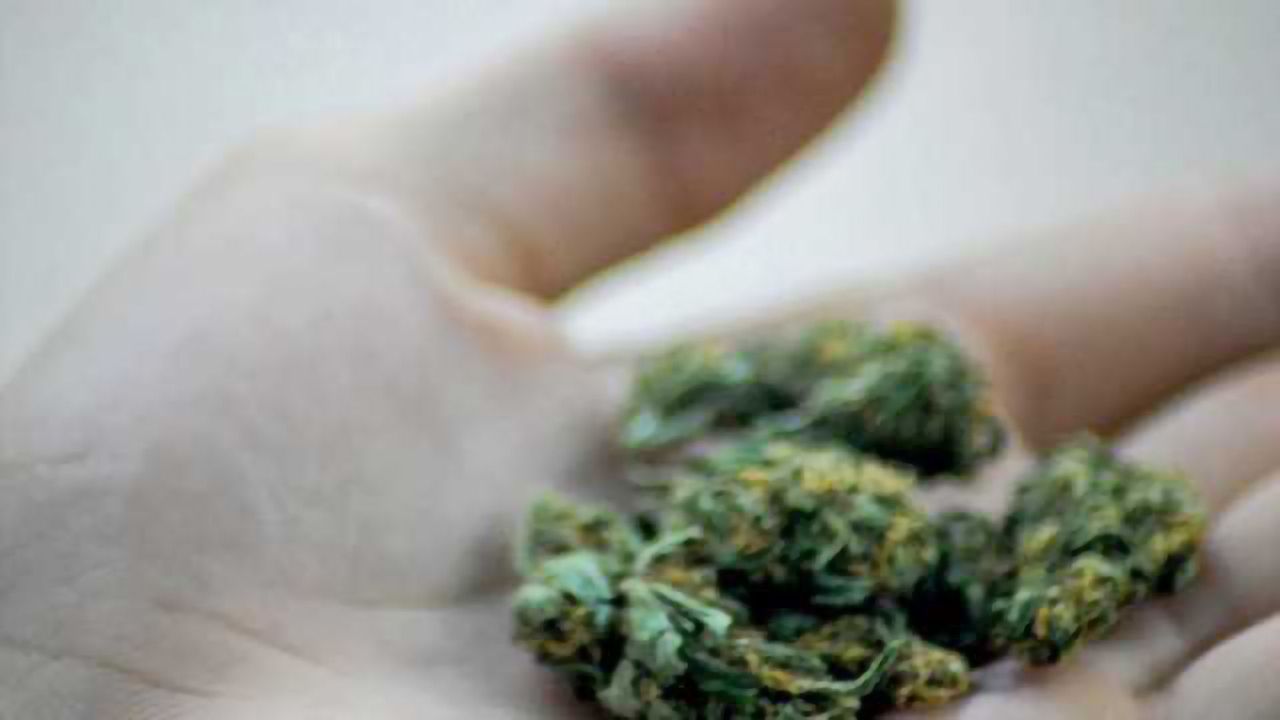 Study shows white matter damage caused by 'skunk-like' cannabis