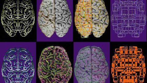 Neuroscientists launch resource aimed at breaking data barriers in brain research