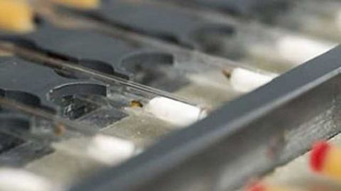 New research helps to explain how temperature shifts the circadian clock