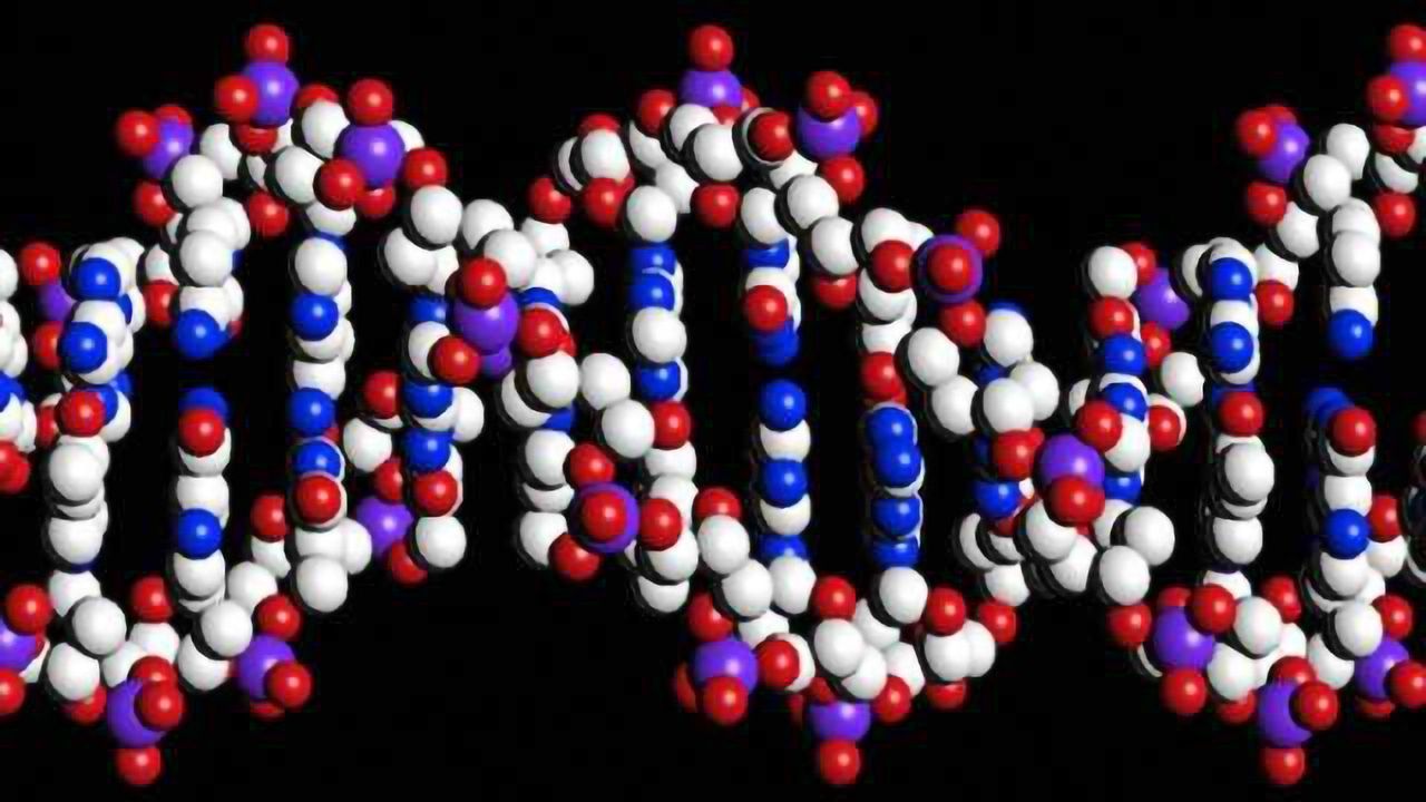 A step towards gene therapy against intractable epilepsy