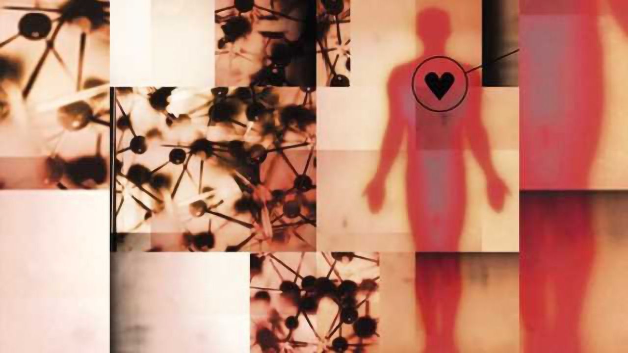 Genetic link between heart and neurodevelopmental disease