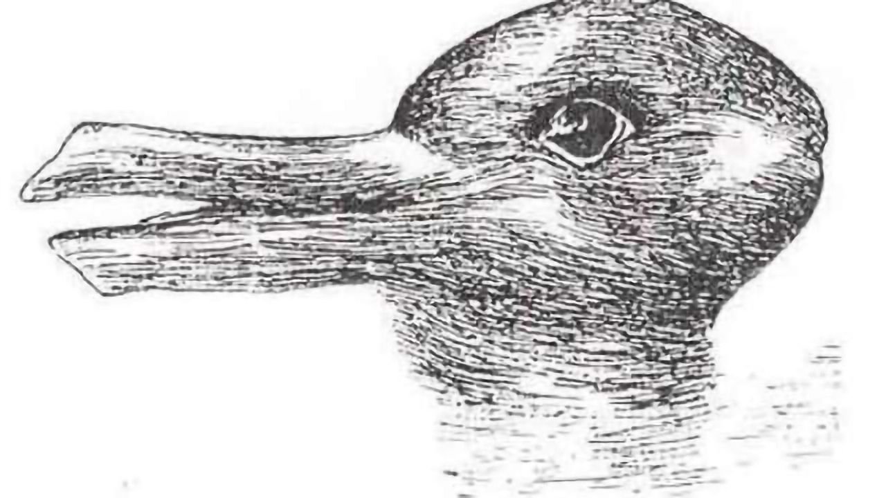 How our brains overrule our senses