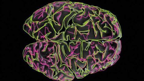 Unraveling the genetic basis of sudden unexpected death in epilepsy