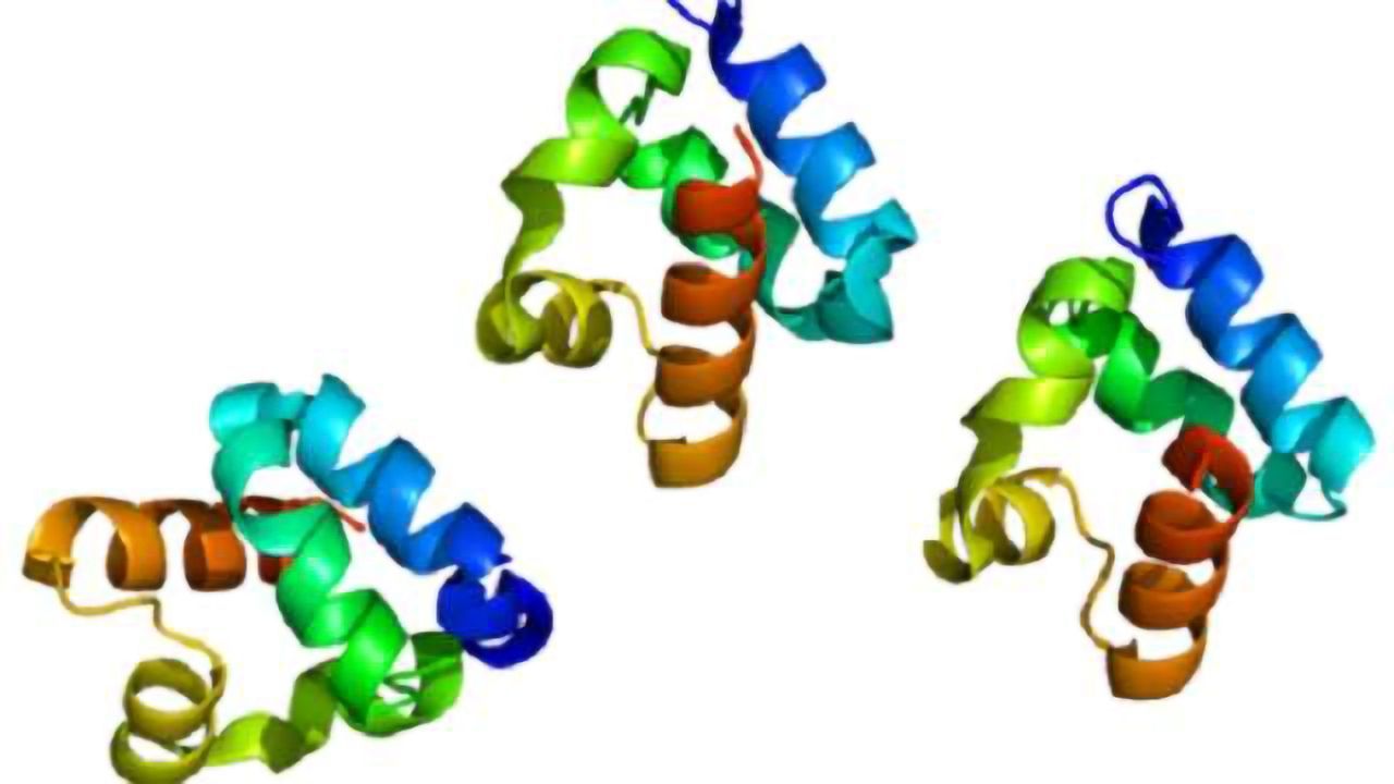 How one gene contributes to two diseases