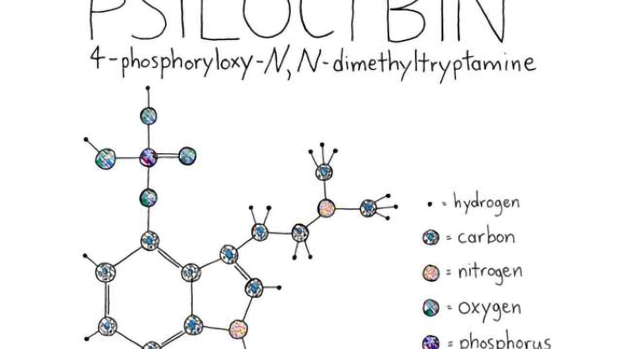 Active ingredient in magic mushrooms reduces anxiety and depression in cancer patients