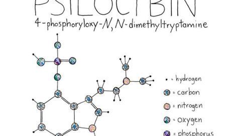 Active ingredient in magic mushrooms reduces anxiety and depression in cancer patients
