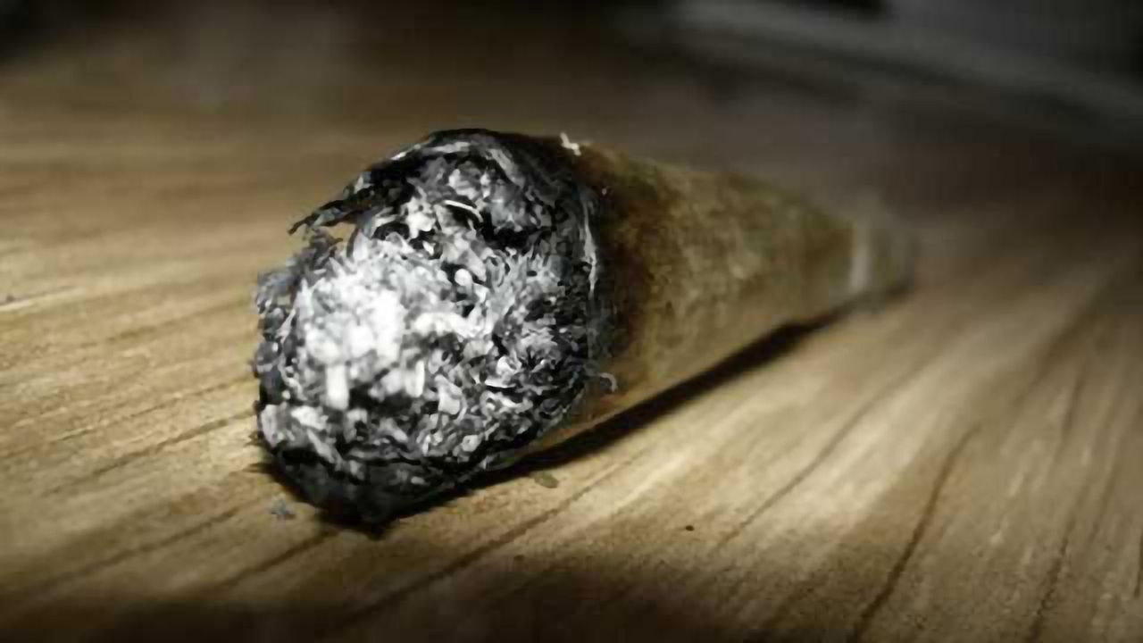 Sensation-seeking, reward sensitivity and early cannabis use