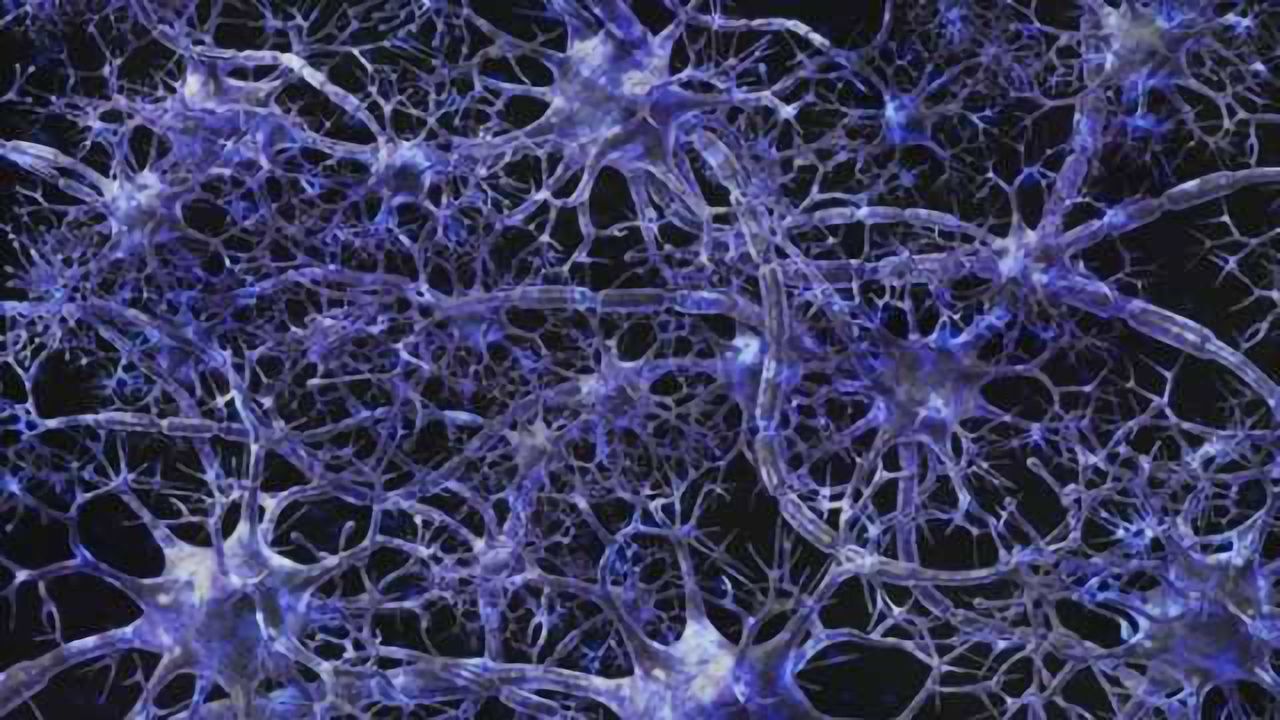 Interactions between attention-grabbing brain networks weak in ADHD, study says