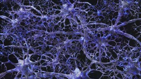 Interactions between attention-grabbing brain networks weak in ADHD, study says