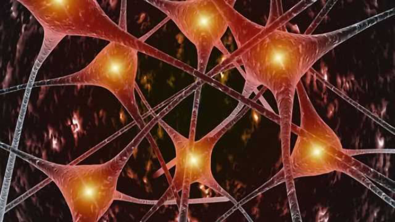 Possible mechanism for specific symptoms in bipolar disorder discovered