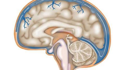 Targeted alpha therapy's potential to eliminate HIV-infected cells from the CNS