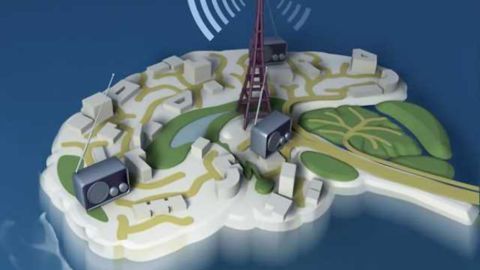 Scientists manipulate consciousness in rats