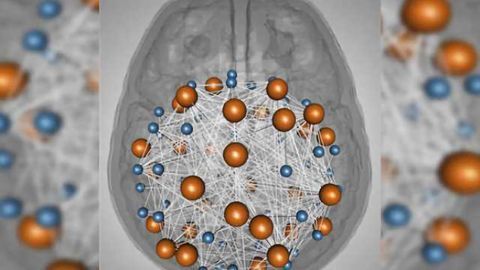 Study finds genetic convergence between cognition and neuro developmental disorders