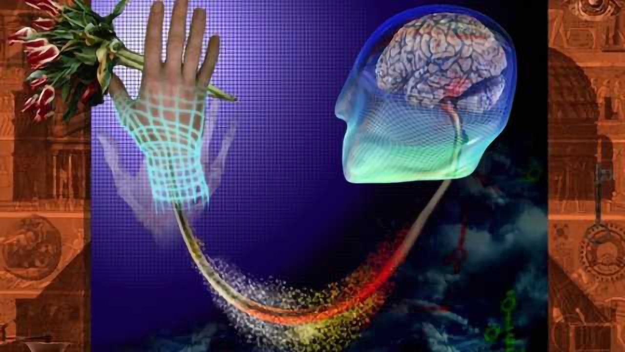 New technique to examine how the brain categorizes images
