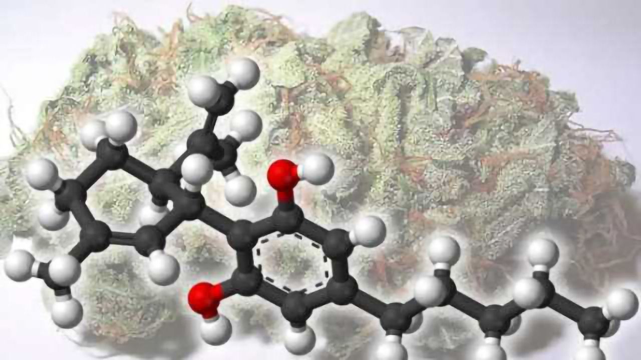 Marijuana derivative reduces seizures in people with treatment-resistant epilepsy