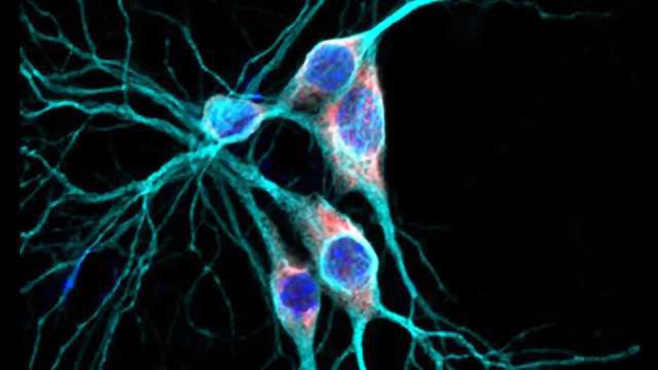 Untapped region in brain cell offers goldmine of drug targets for new autism treatments