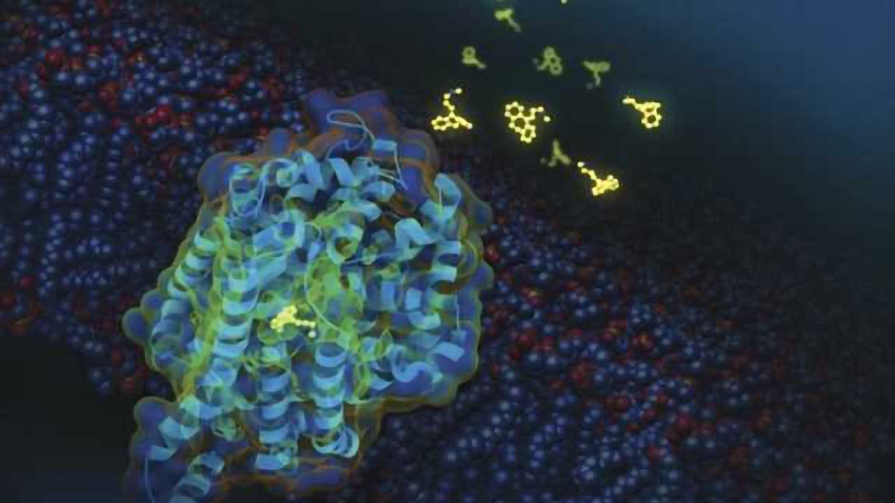 Cocaine addiction: Scientists discover 'back door' into the brain
