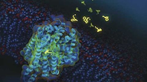 Cocaine addiction: Scientists discover 'back door' into the brain