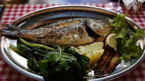 Why fish intake by pregnant women improves the growth of a child's brain