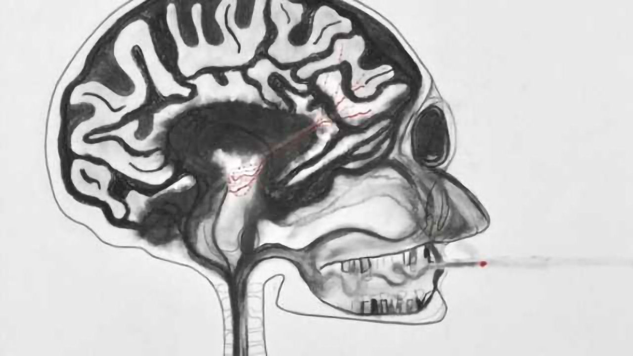 Flipping molecular 'switch' may reduce nicotine's effects in the brain