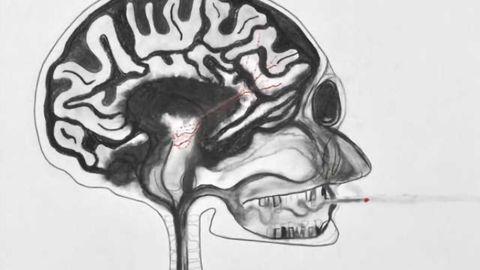 Flipping molecular 'switch' may reduce nicotine's effects in the brain