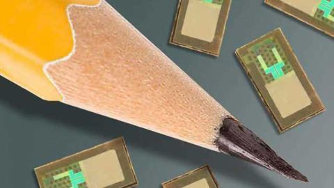 Team develops wireless, dissolvable sensors to monitor brain