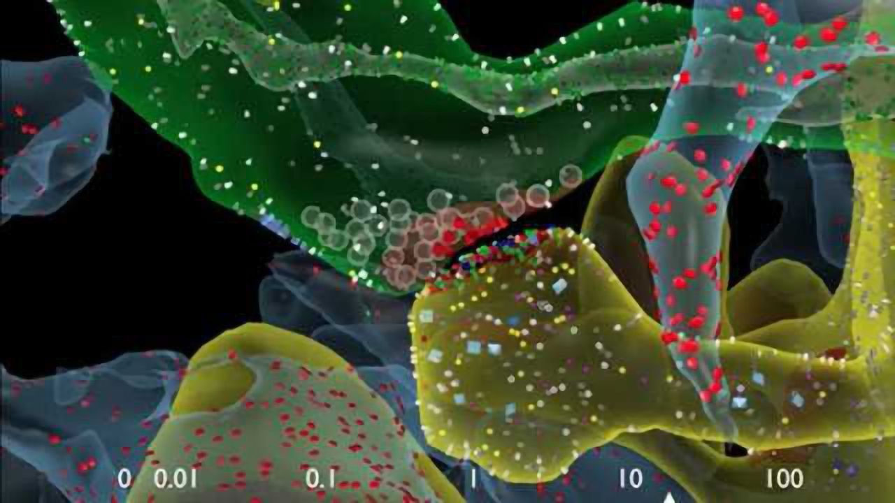 Memory capacity of brain is 10 times more than previously thought
