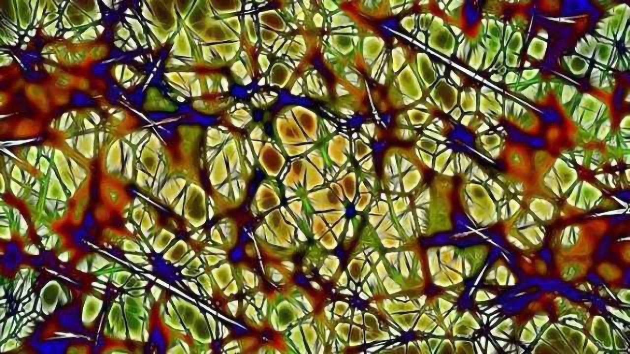 Method to potentially repair nerve damage discovered