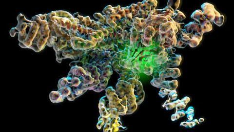 Crouching protein, hidden enzyme