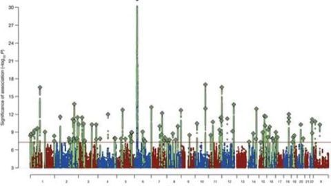 Schizophrenia's strongest known genetic risk deconstructed