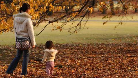 Brain structure governing emotion is passed down from mother to daughter, says study