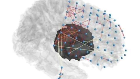 Researchers use network science to help pinpoint source of seizures