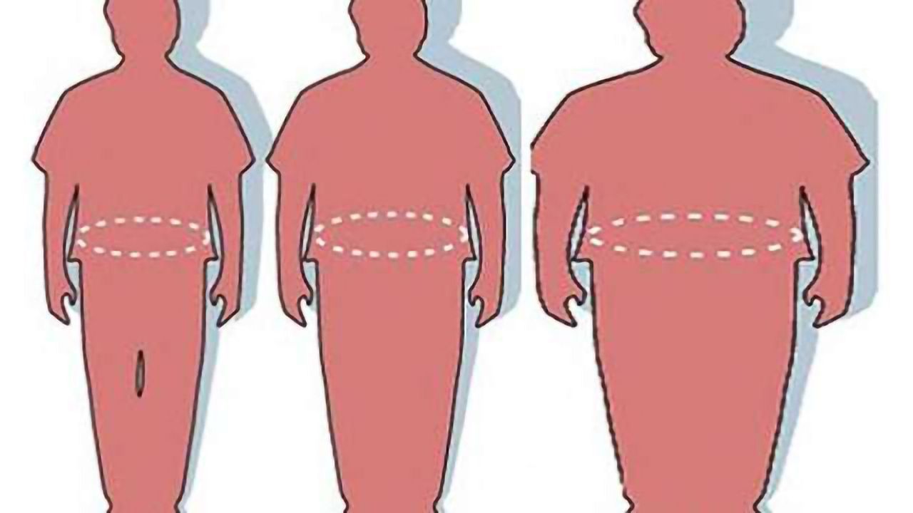 Study shows brain function differs in obese children