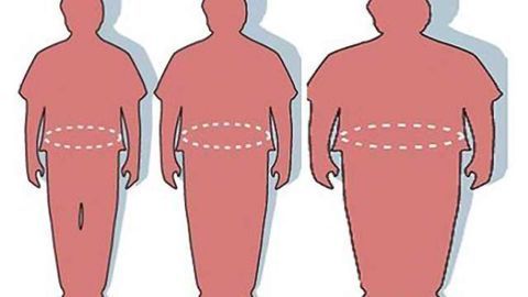 Study shows brain function differs in obese children