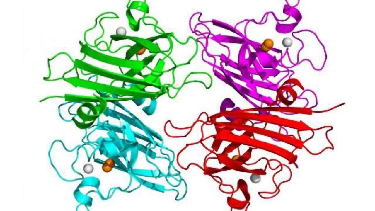 New therapy halts progression of Lou Gehrig's disease in mice