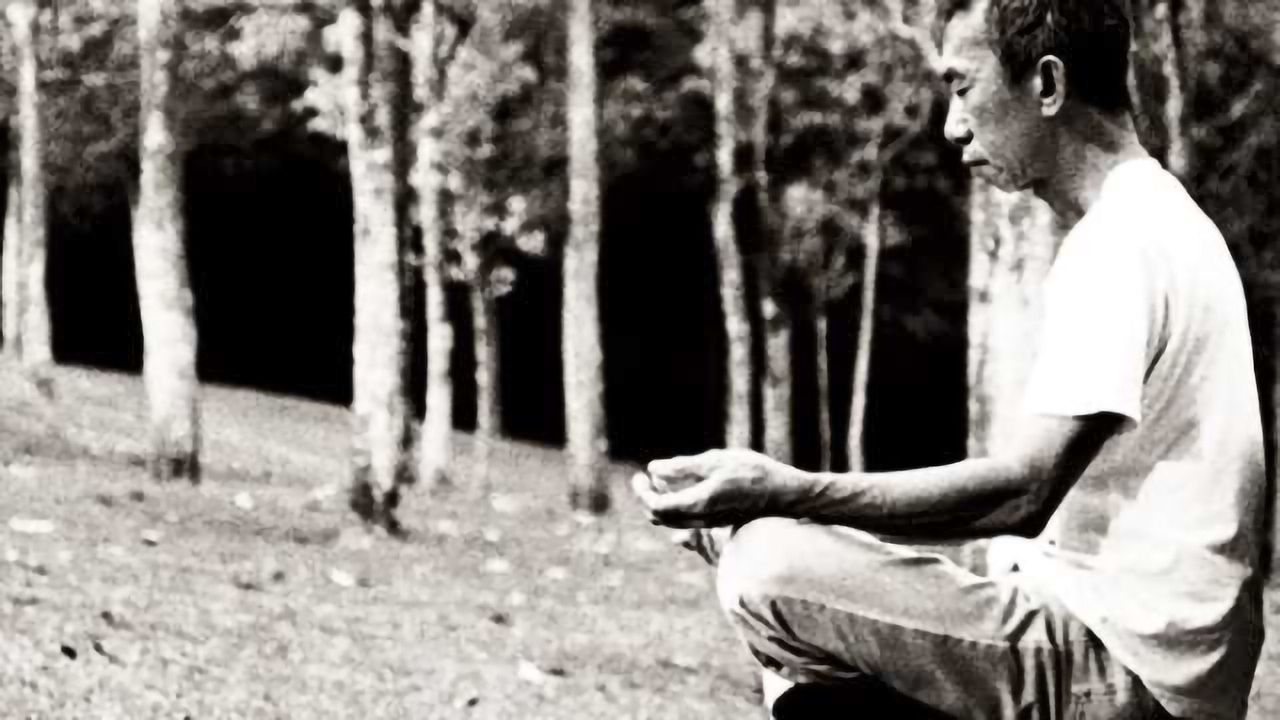 Neurobiological changes explain how mindfulness meditation improves health