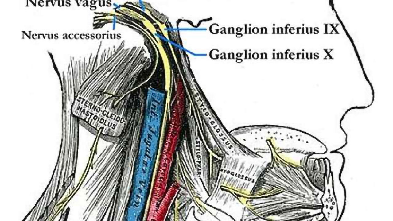 New non-invasive form of vagus nerve stimulation works to treat depression
