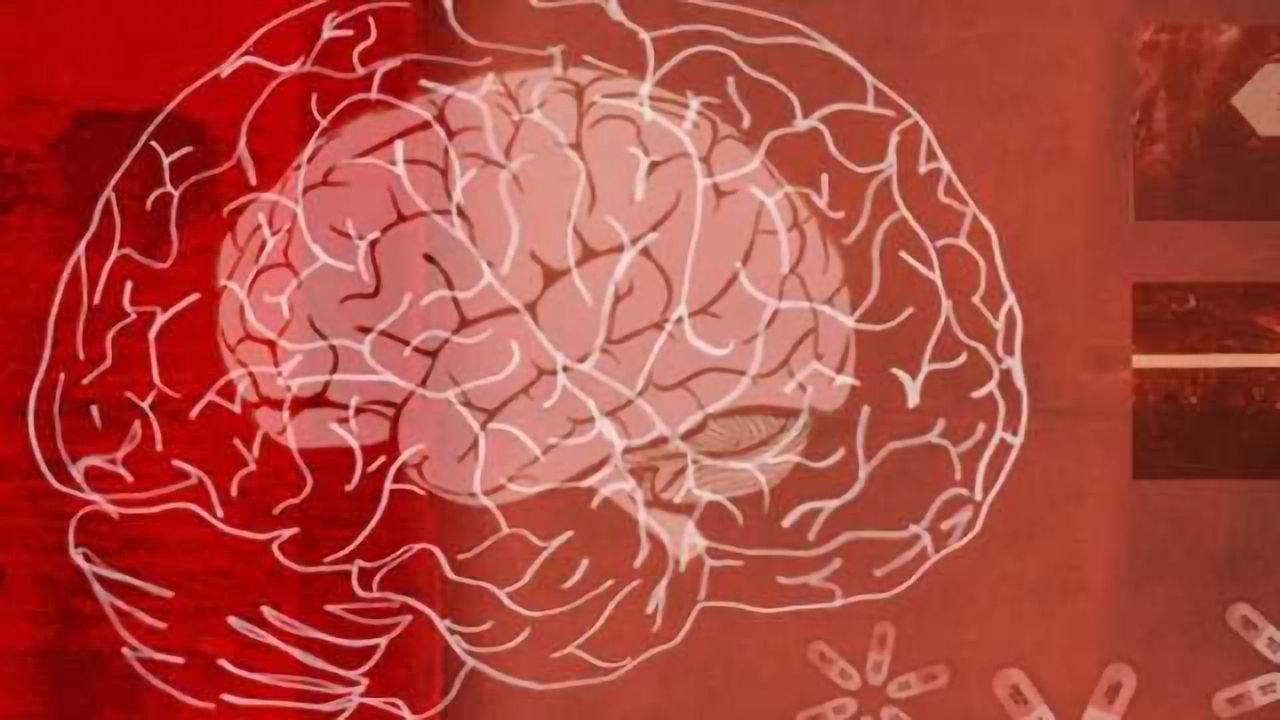 Inflammation attacks brain's reward center